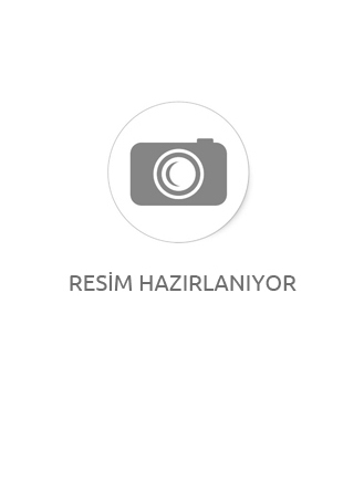 DAYMOD MİCRO  BAYAN GOLDEN MAXİ KÜLOTLU ÇORAP